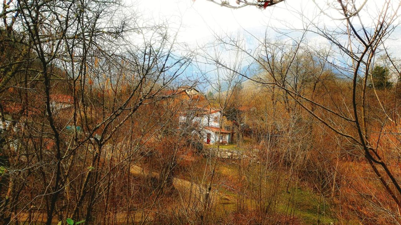 Hotel Rural La Tahona De Besnes Arenas De Cabrales Luaran gambar